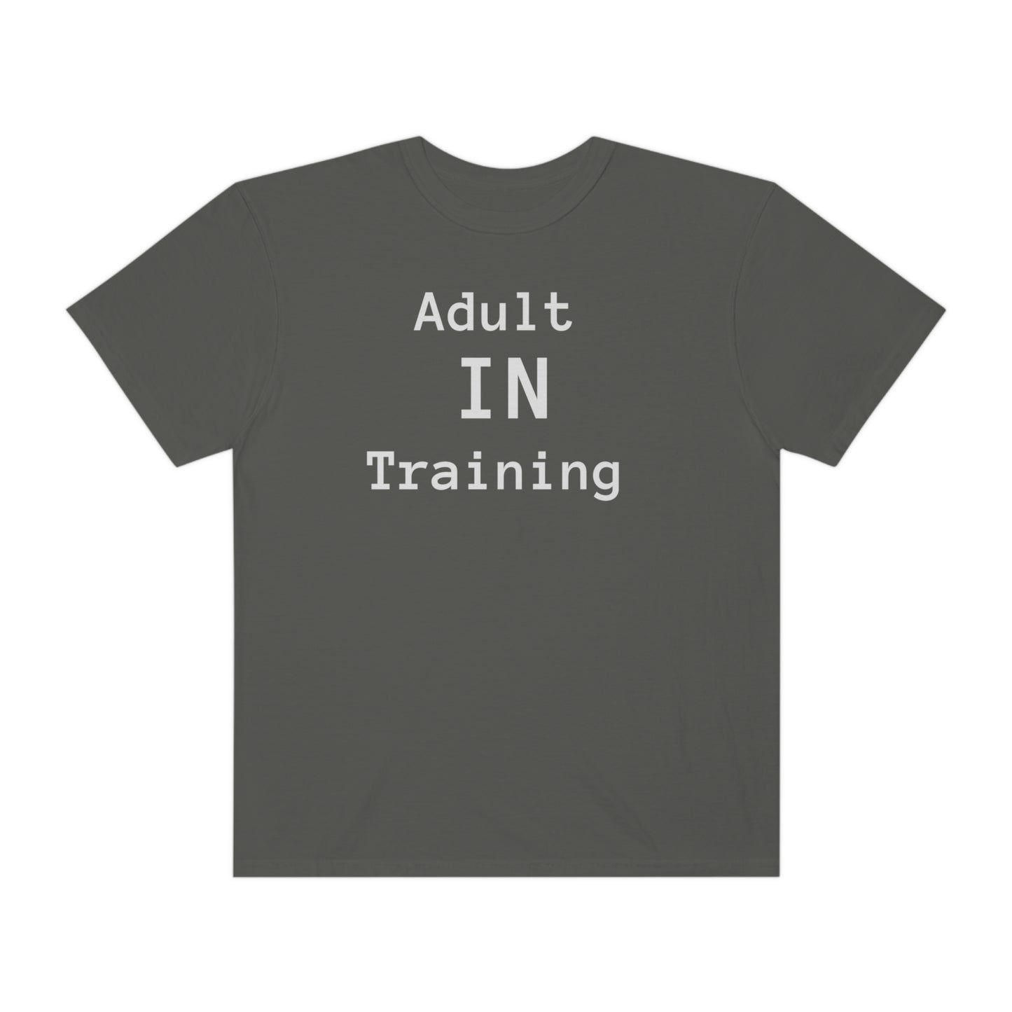 Adult In Training T-shirt