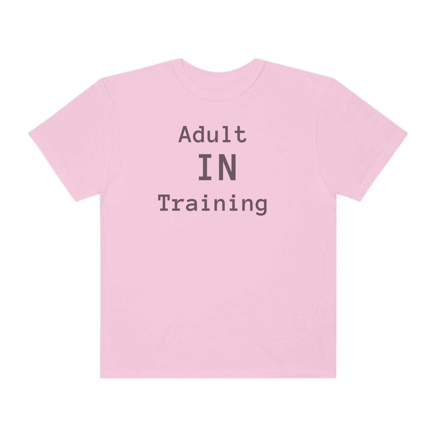 Adult In Training T-shirt