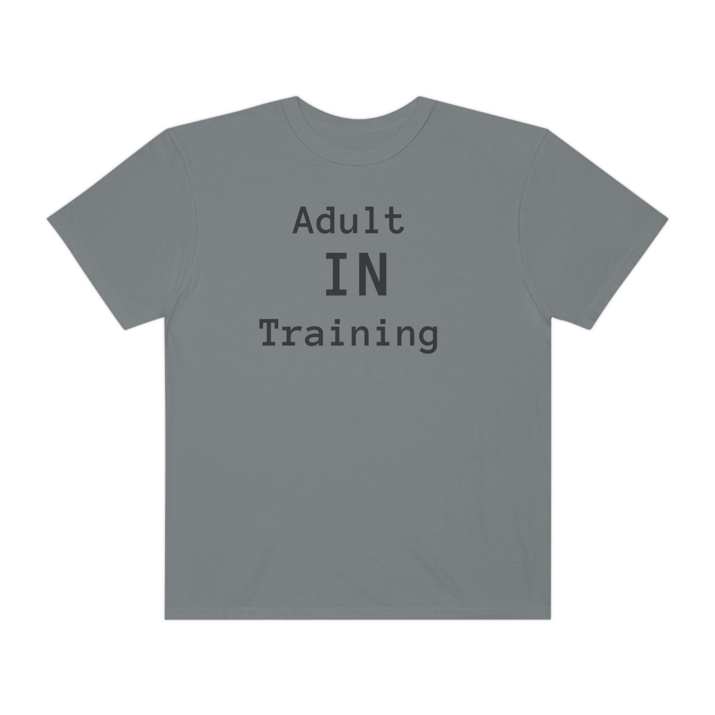 Adult In Training T-shirt