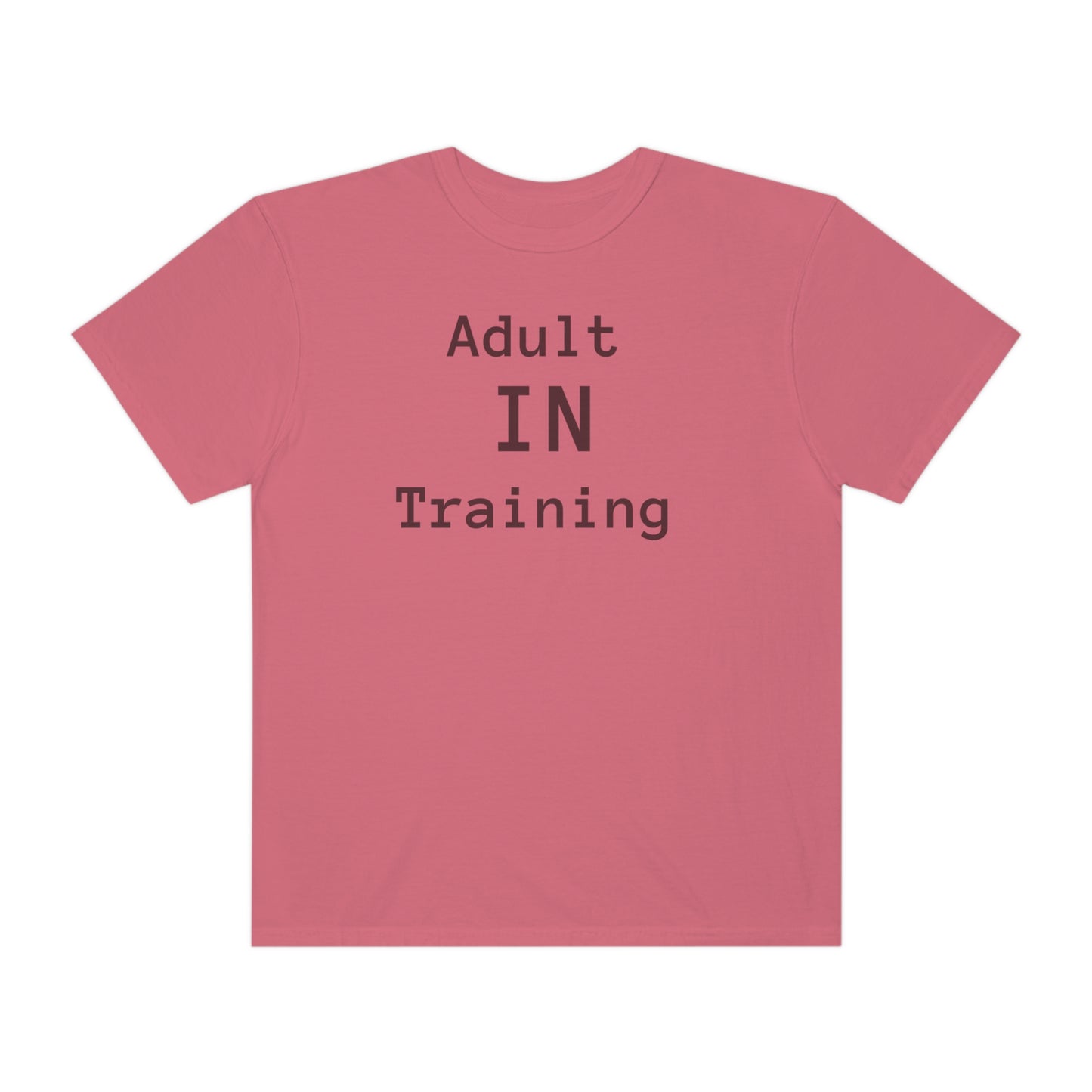 Adult In Training T-shirt